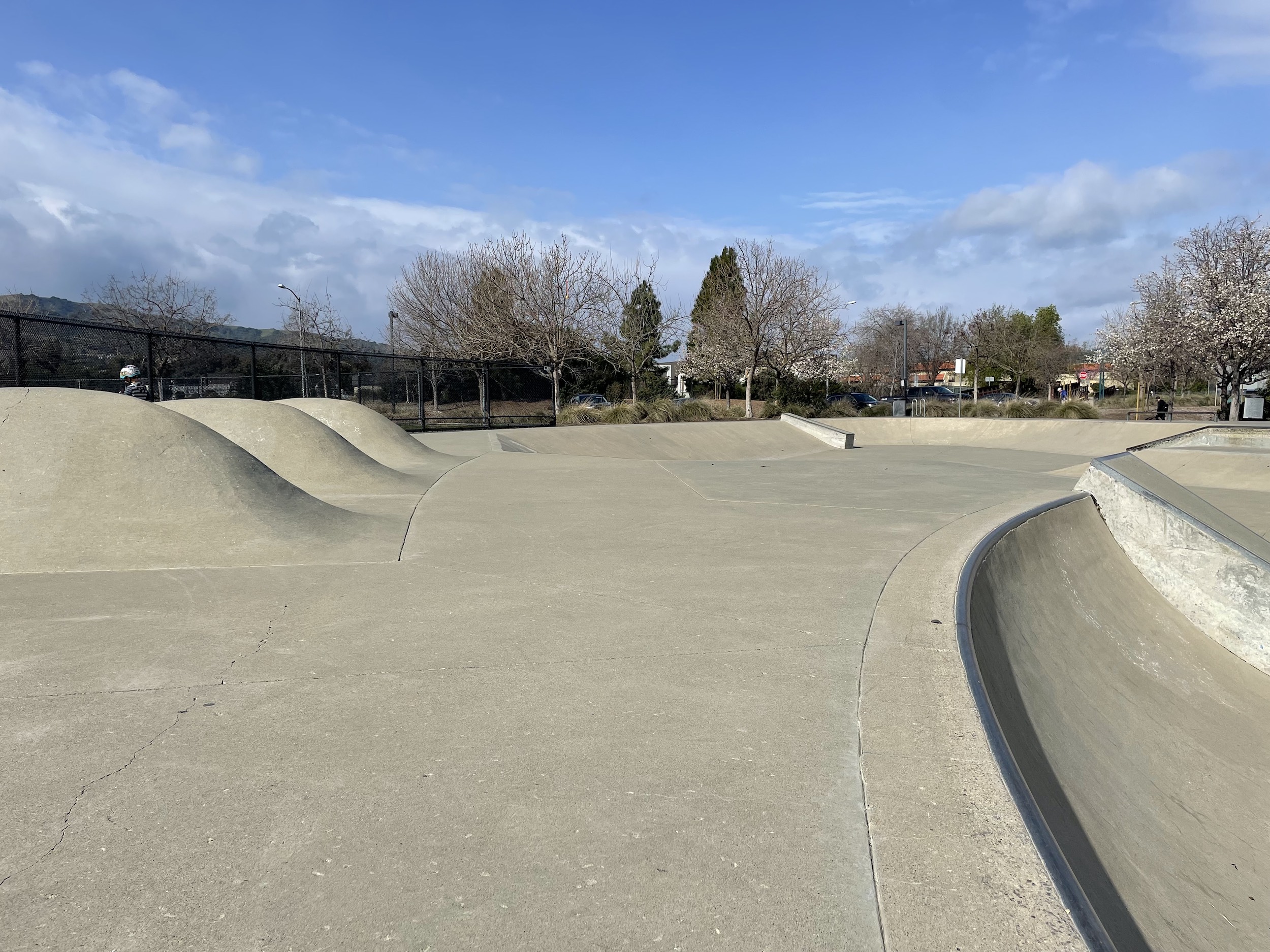 Pleasanton skatepark